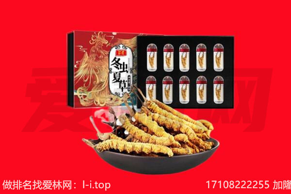 卓尼县回收虫草.jpg